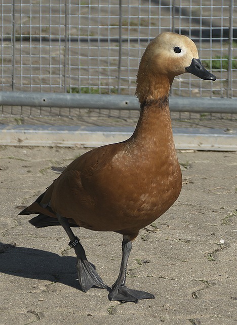 相遇
