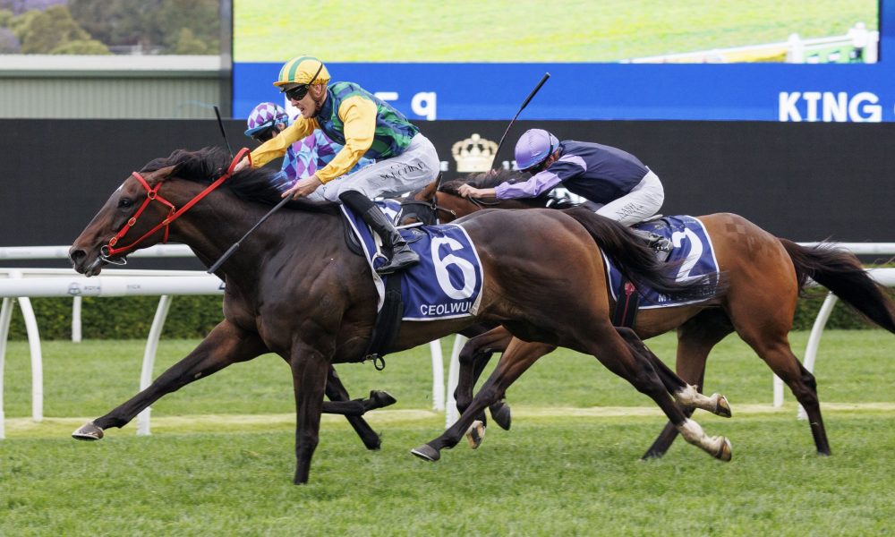 以及大量的 以及大量的