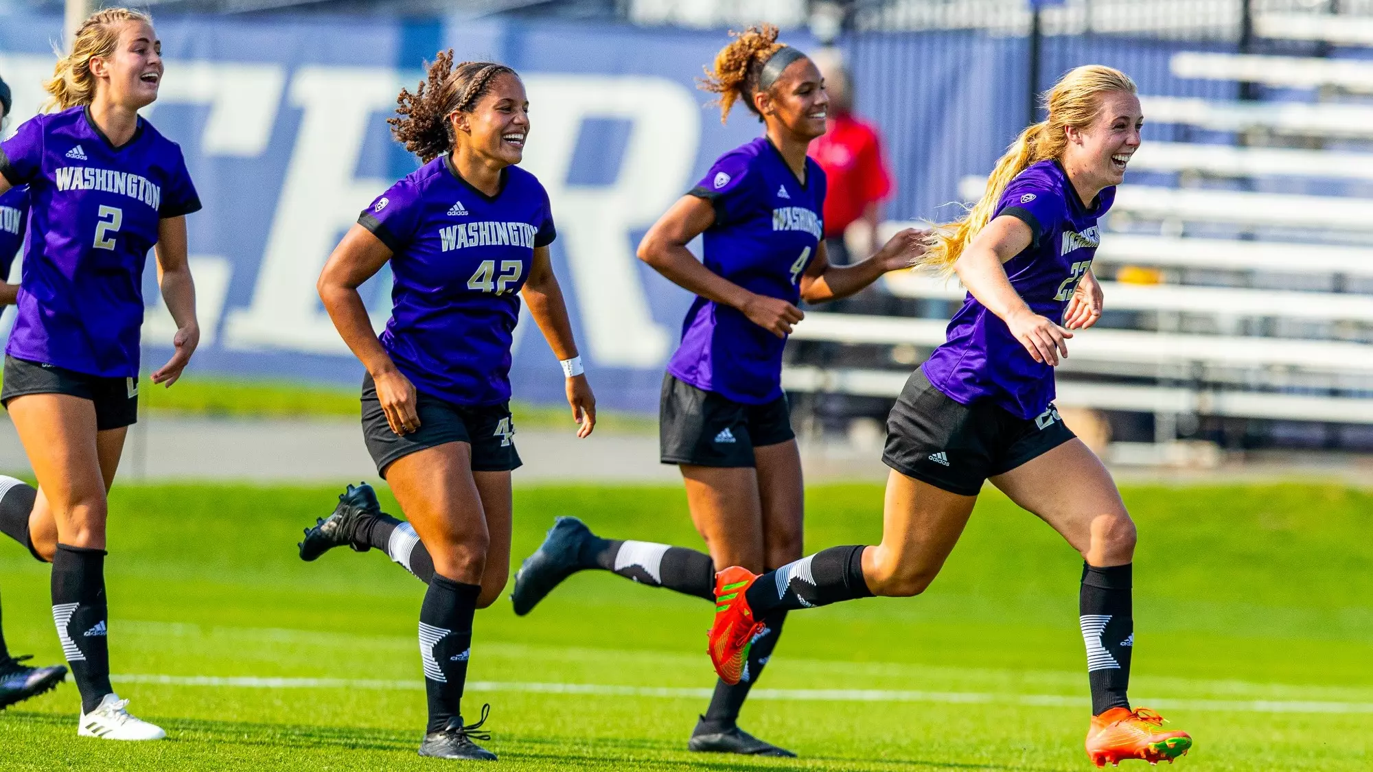 这位来自阿 这位来自阿