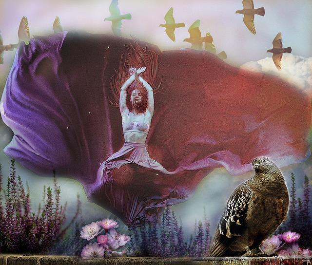 这一案例不 这一案例不